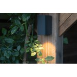 in-lite | ACE Down Dark | Wandlamp Buiten 